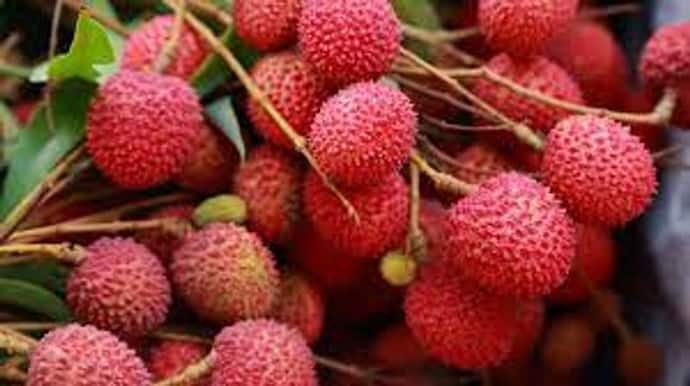 Lychee