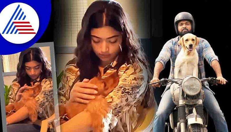 Rashmika Mandanna with Dog Video Creates Rumors hls 