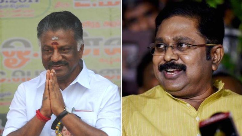 TTV Dhinakaran explains why he is contesting from Theni constituency KAK