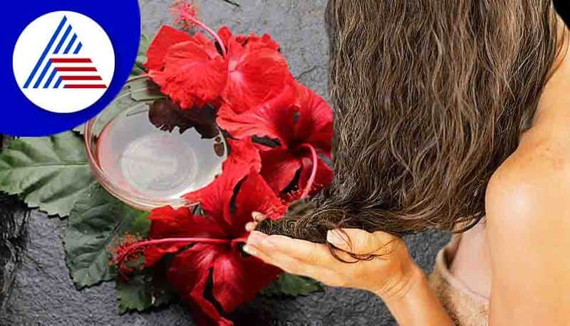 Haircare Tips: Effective ways to use hibiscus for boosting hair growth and thickness