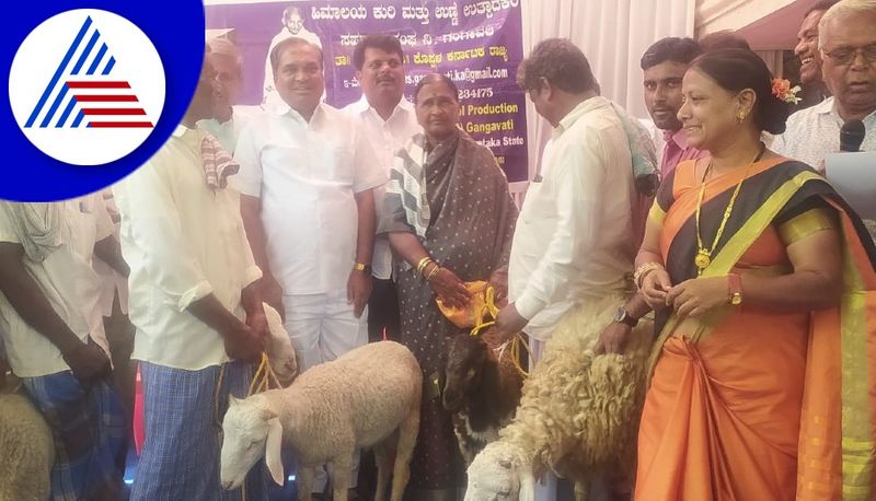 Nari Suvarna Sheep Breed Center Start In Koppal District gvd