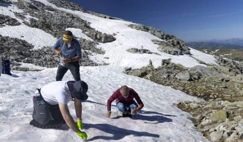 research on the link between snow blood and climate change 