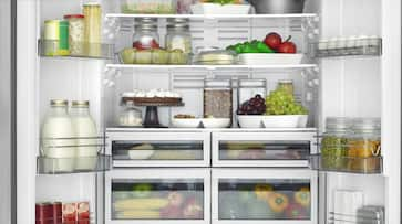 fridge-and-uti-risk-study-reveals-shocking-connection