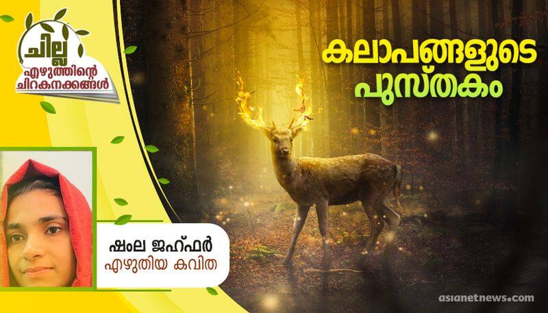 chilla malayalam poem by shamla Jahfar