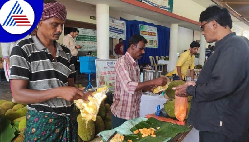 Jackfruit Mela In Udupi, Variety Of Snacks Served For People 