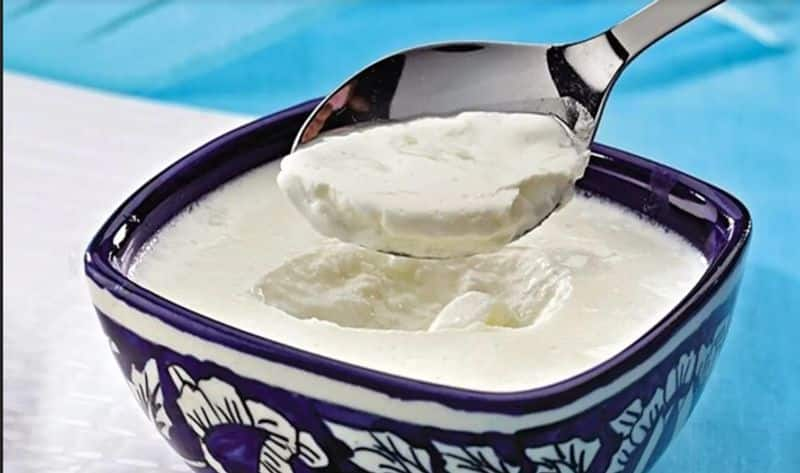 Health benefits of including curd in your daily menu 