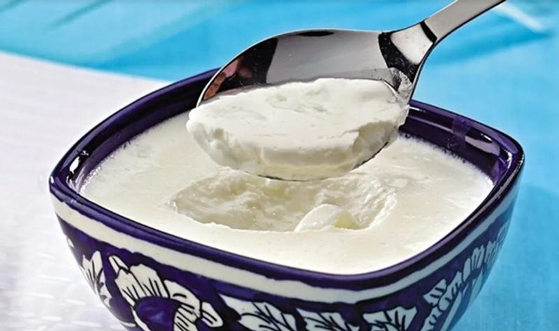 How to take Curd to strengthen bones?