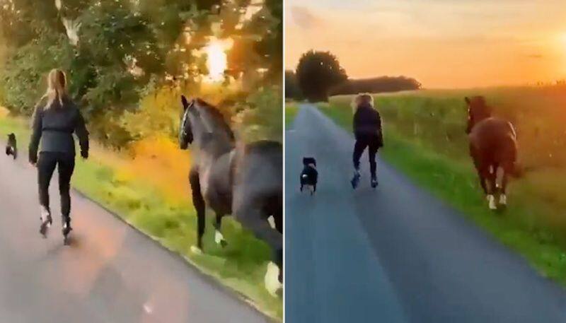 Watch Woman skates along with pet dog and horse; Internet loves it-tgy