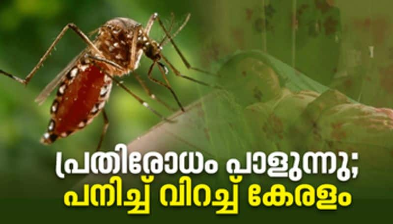 Fever spreading in Kerala photo story 