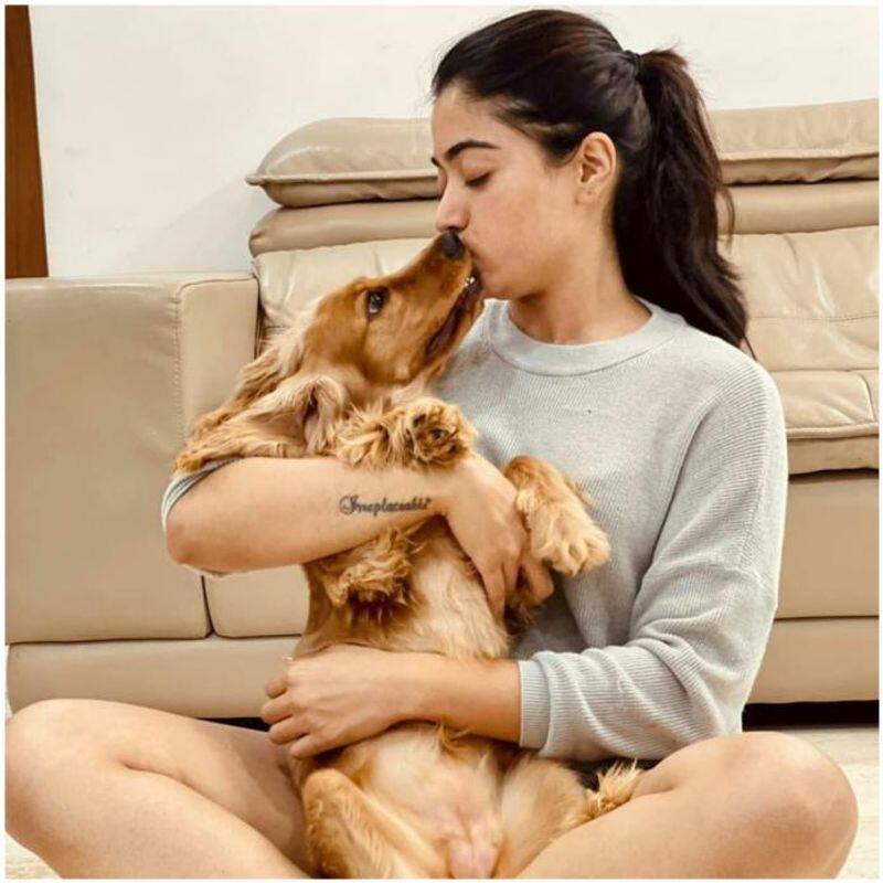 Rashmika Mandanna reacts to rumour regarding she demands flight ticket for her dog