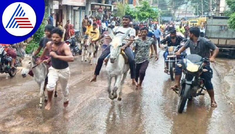 Donkeys Race Competition Held at Rabkavi Banhatti in Bagalkot grg