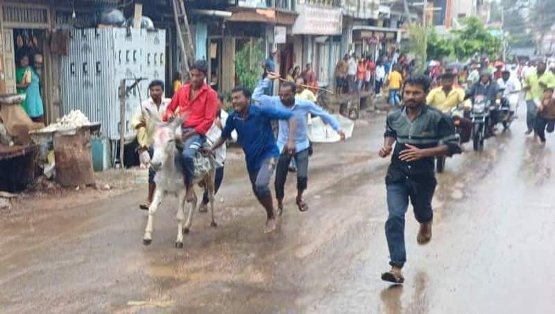 Donkeys Race Competition Held at Rabkavi Banhatti in Bagalkot grg