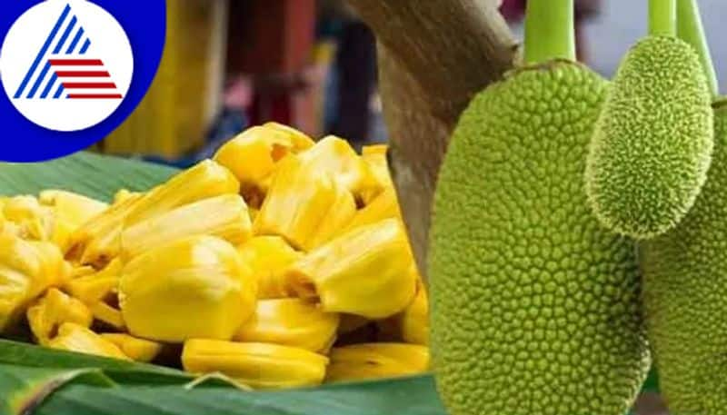 Should Diabetics Have Jackfruit Or Kathal Vin