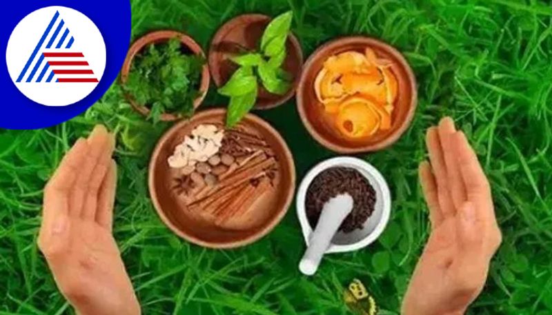 National Ayurveda Day: What is Ayurveda education? Know about Indigenous and conventional medicine and more  RBA