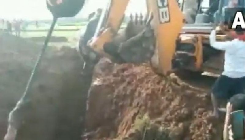 elephant rescued with the support of jcb machine 