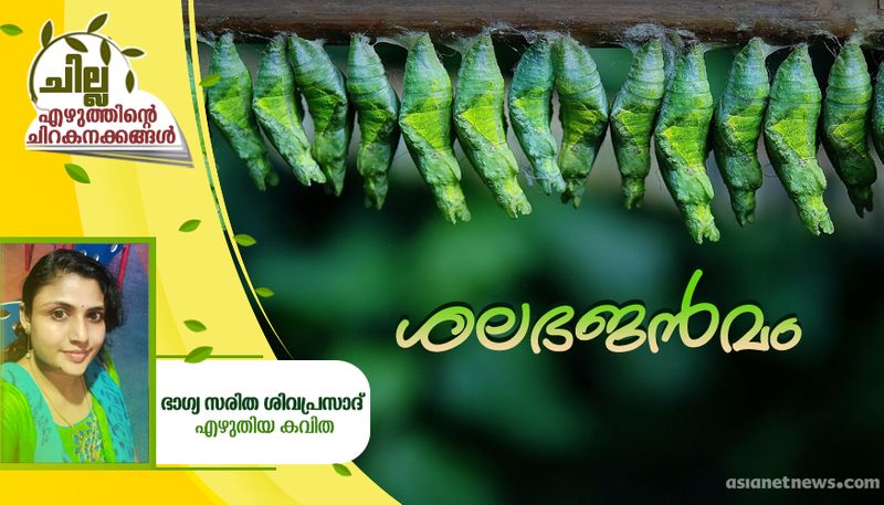 chilla malayalam poem by bhagya saritha sivaprasad