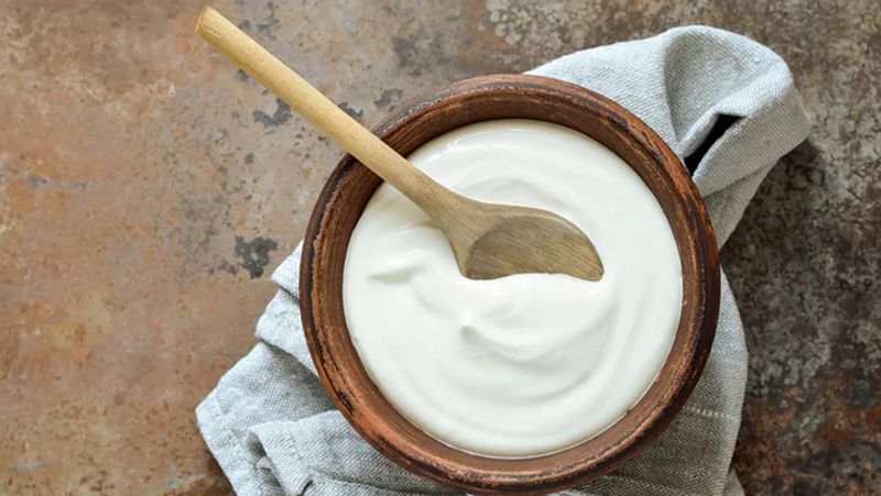 benefits of eating curd during pregnancy