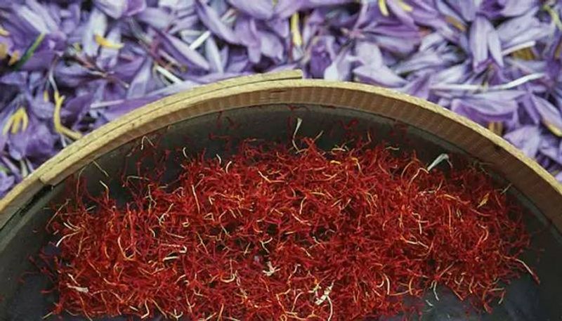 how to grow Saffron