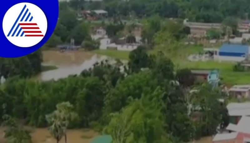 house colapsed in flood hit assam video viral akb