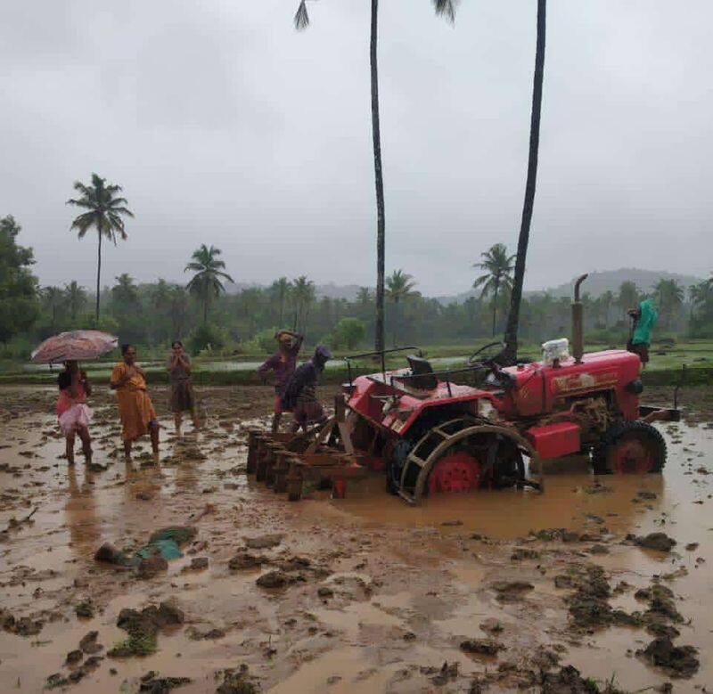 A Farmer Dies Heart attack During planting-paddy At Udupi rbj