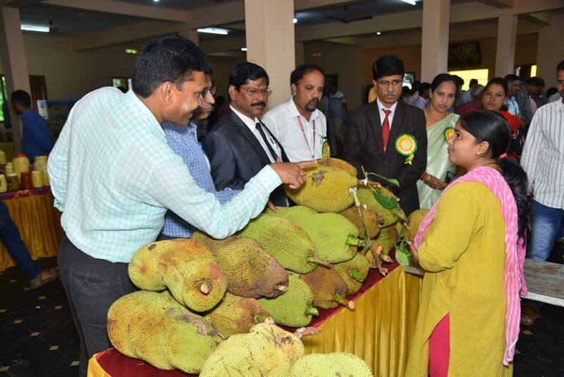 variety of Snacks for people In Chikkamagaluru jackfruit mela rbj