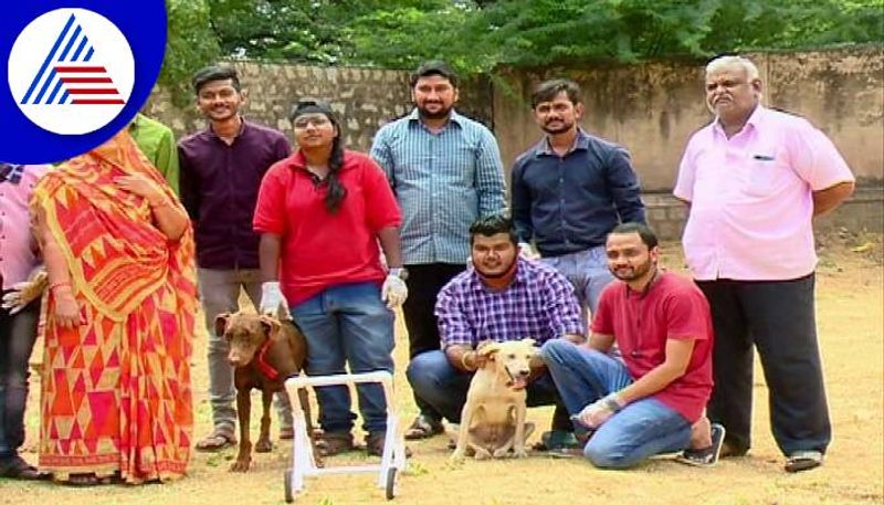 Spoorty Caring for Animals in Chitradurga grg