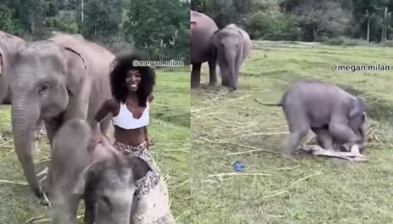 model barely escaped from an elephant calf while on photo shoot 