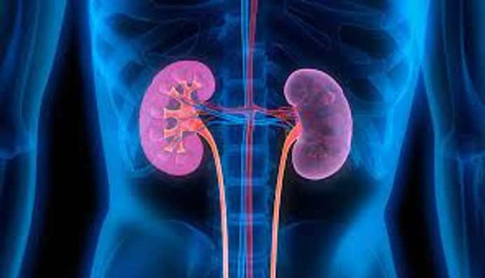 Kidney health