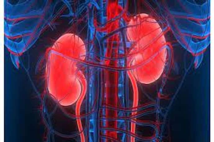 Kidney health