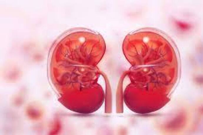 Kidney health