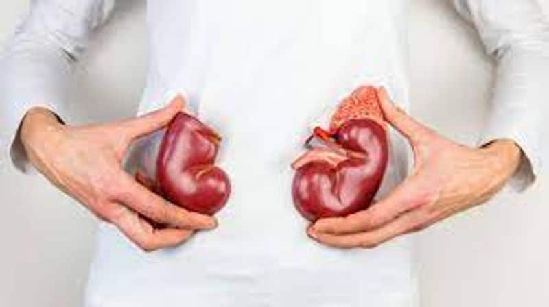 tips to prevent kidney failure