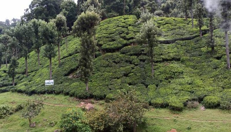 nilgiri mountain train journey 