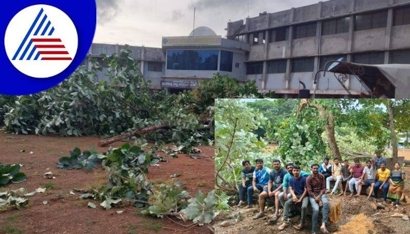 Dharwad Law Graduate College  campus  trees   cut  down students oppose gow 