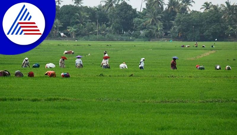 Government pasture land occupied in davangere gow