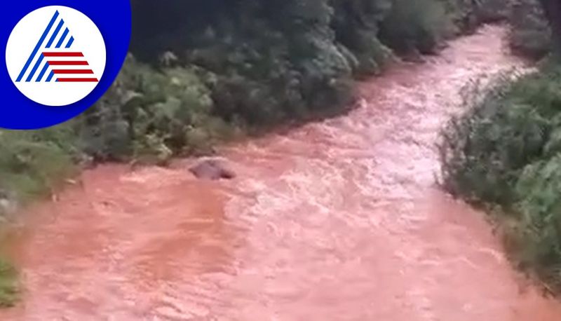 heavy rain lash out in Malenad region hebbala bridge submerged akb