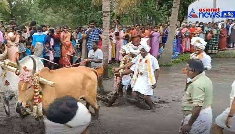 Kovai pattina perumal temple festival