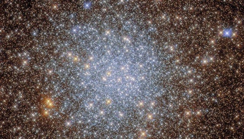 nasa shares stunning pic of globular cluster