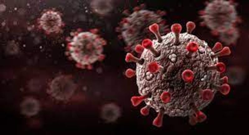 56 Year Old Person Dies Due to Coronavirus in Mysuru grg 