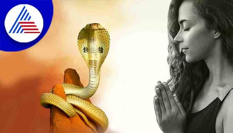 Nag Panchami 2022 what to do to fulfill wishes 