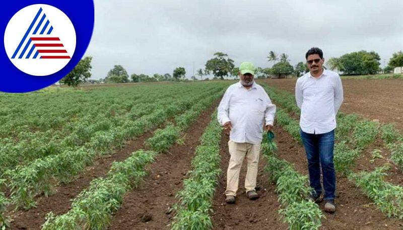 how to protect your crops during the rainy season tips to farmers in dharwad gvd