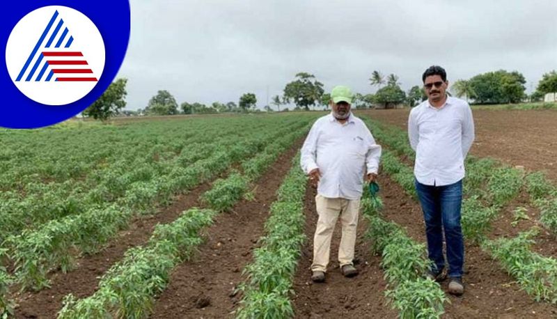 how to protect your crops during the rainy season tips to farmers in dharwad gvd