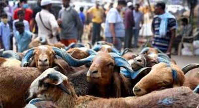 Eid Al-Adha 2022: Significance of Eid Al-Adha festival of Islam