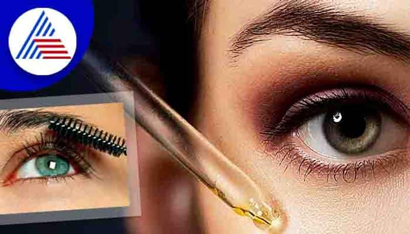   Best eyebrow oil for growth and health tips for eyebrow