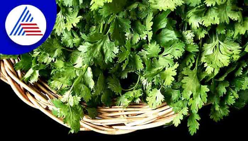 how to do delicious coriander pongal with simple tips