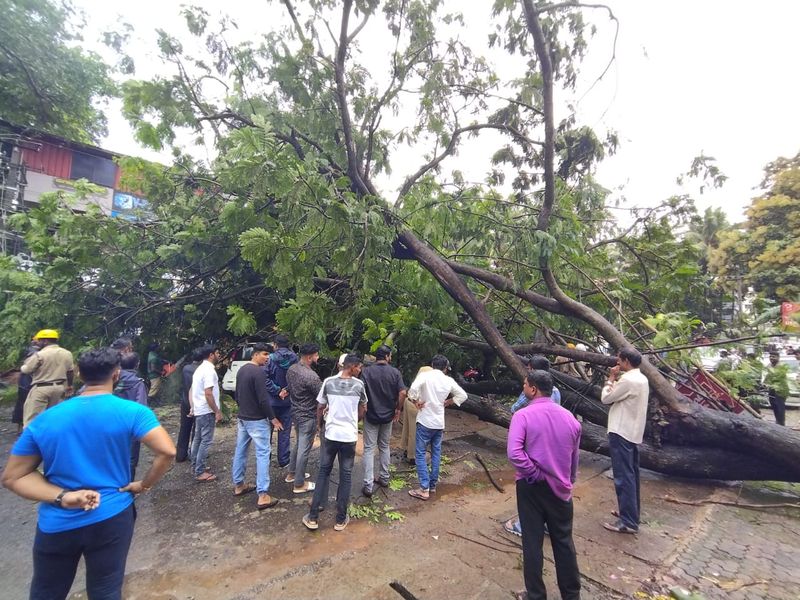 more than Rs 25 Crore Losses Over rain continues In Udupi  rbj