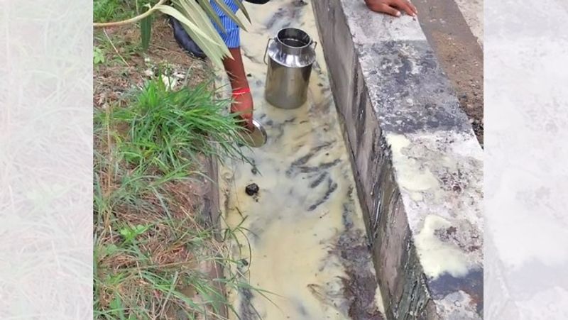 Rajasthan Tanker With Ghee rolls over people rush to collect it pod