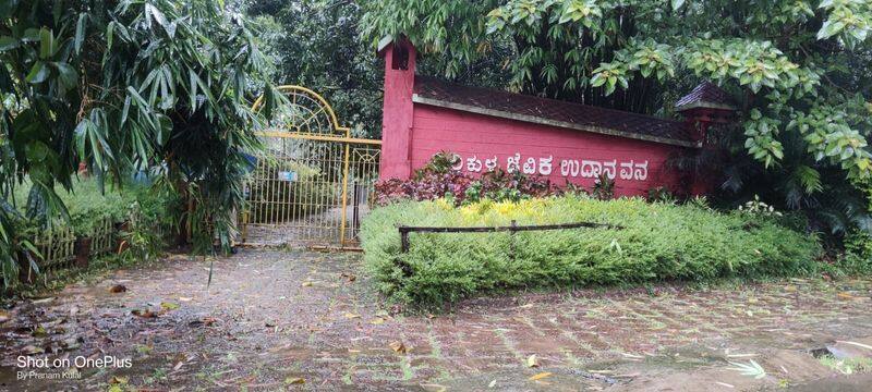 First Time mangalore pilikula submerged from Rain water rbj