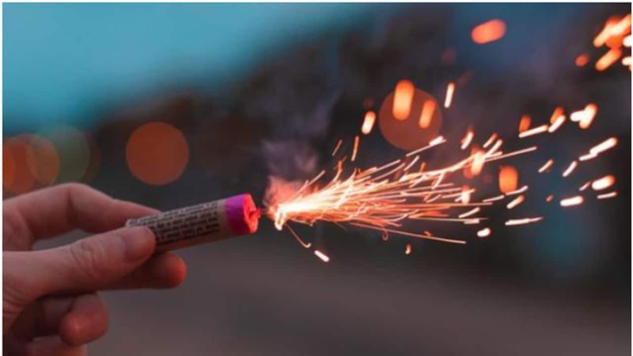 Madhya Pradesh: 4 killed, 7 injured in explosion at firecracker godown in Morena