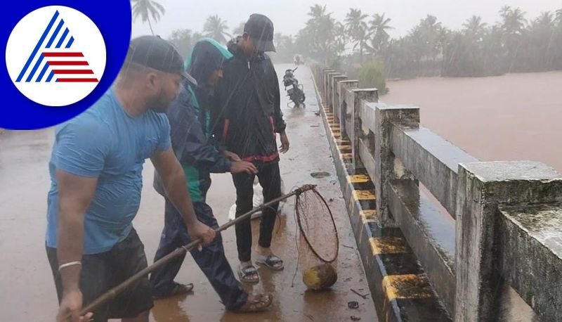 Catch Coconut In River Water During Monsoon Experts Are There In Udupi gvd