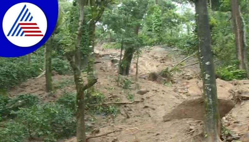 Crops Damaged Due to Heavy Rain In Chikkamagaluru District gvd